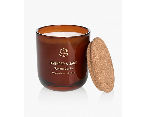 Sandalwood & Warm Spices Glass Candle 